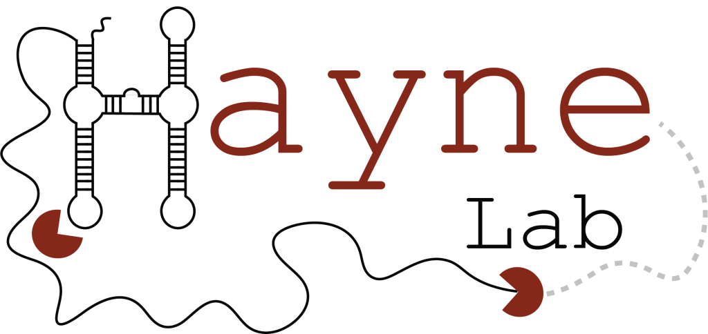 The Hayne Lab